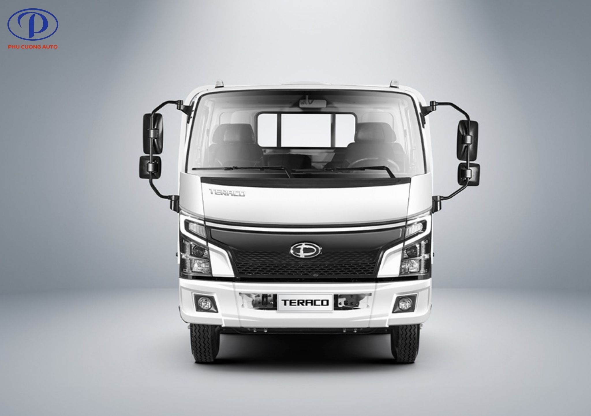 dau-cabin-xe-tai-tera-245sl-plus-thung-bat
